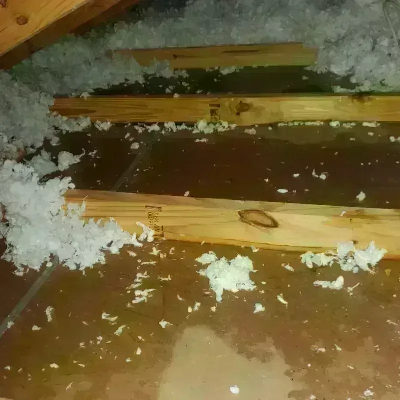 Attic Water Damage in Falling Water, TN